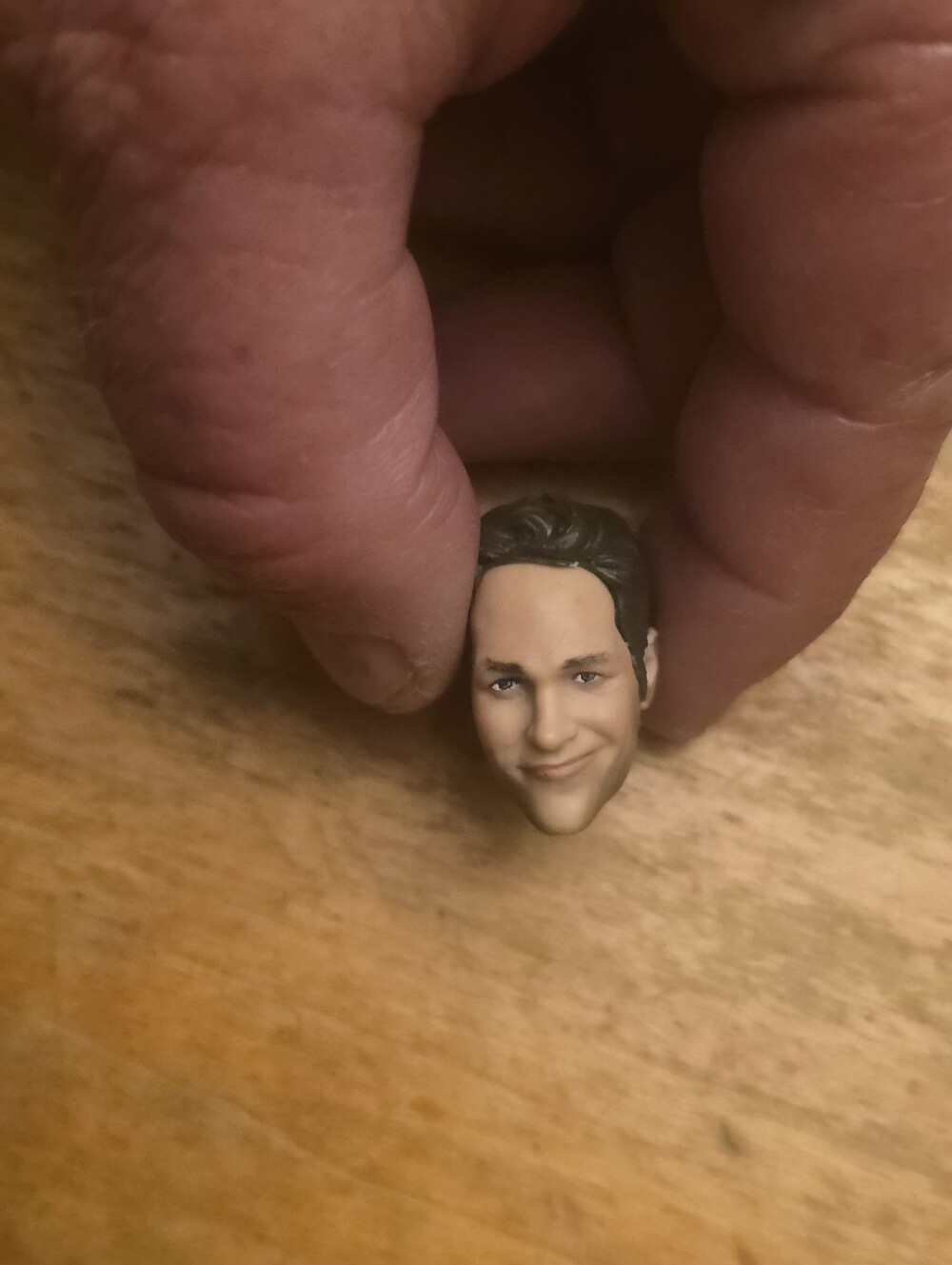 Marvel Legends Ant-Man Head Paul Rudd Avengers Infinity War Wasp Cull Obsidian